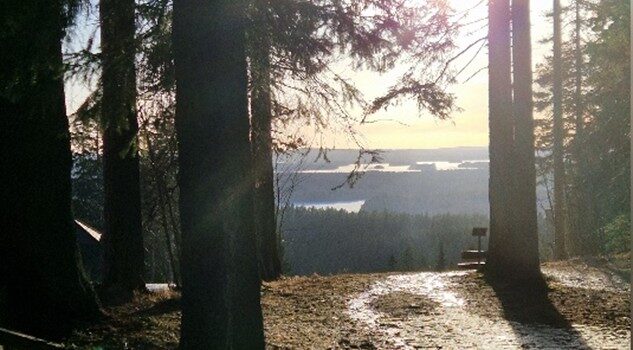 Why wouldn’t you go to the forest?