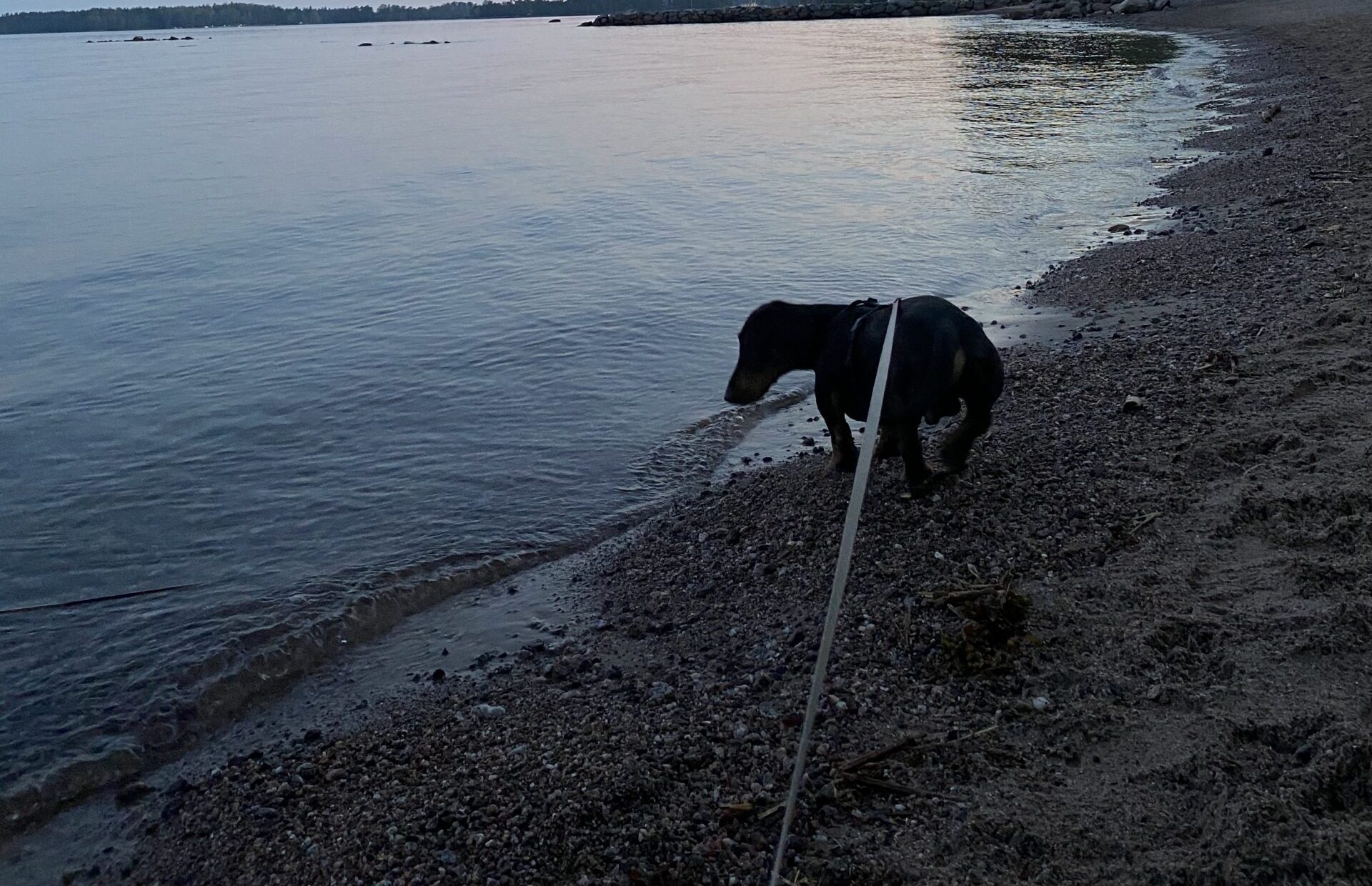 Julian kätilöopinnot Julian kätilöopinnot