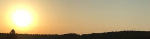 Terhi`s Life in the Digital World